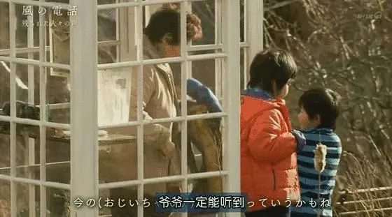 日本高分纪录片免费观看,日本的高分纪录片