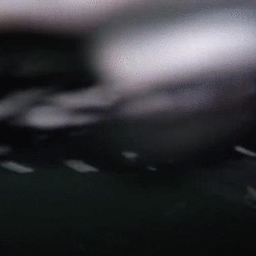 “最毒僵尸鱼”,外媒曝挪威三文鱼养殖乱象,看完胃不好了