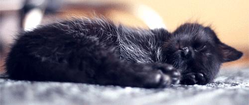 万圣夜是过早上还是过晚上,万圣夜为什么和万圣节差24天