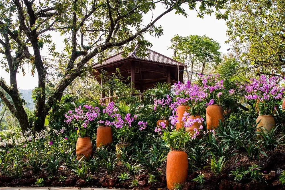 南宁马拉松路线图最新图,南宁半程马拉松路线图