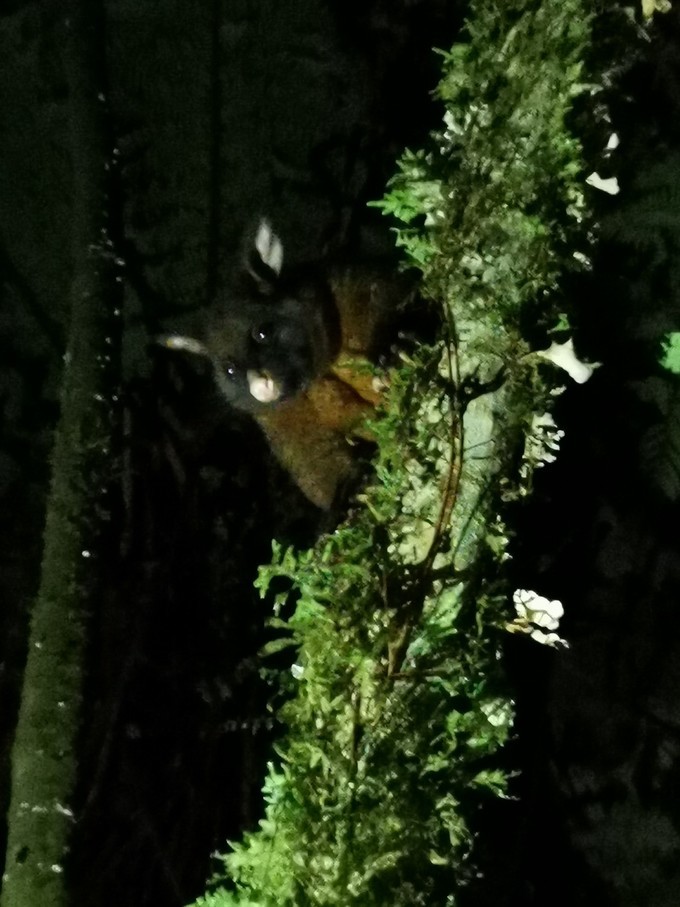 让你不用出门欣赏到美丽的风景,让你不出门你会待几天