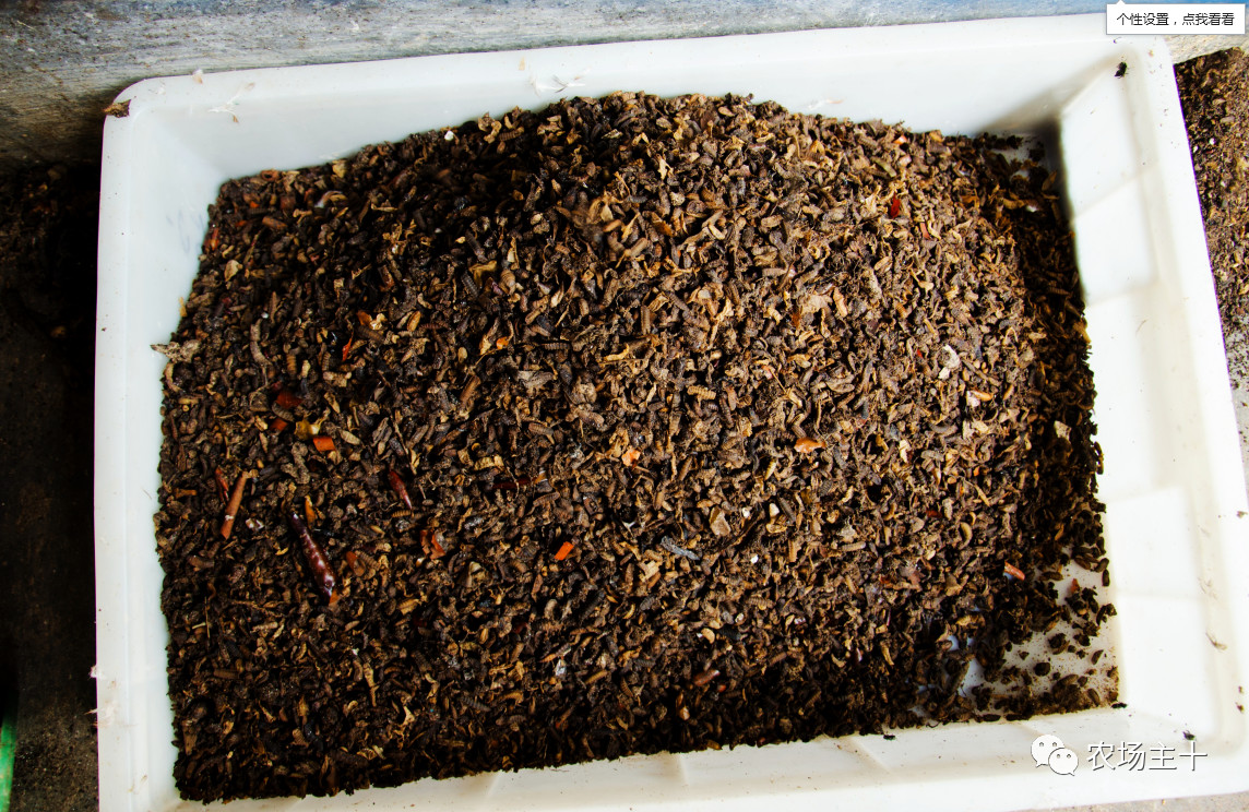 从乞丐到身价200万仅用一年时间,从乞讨到名相的传奇人生