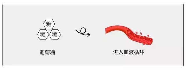 盘点热门减肥方法,盘点真实有效的减肥方法