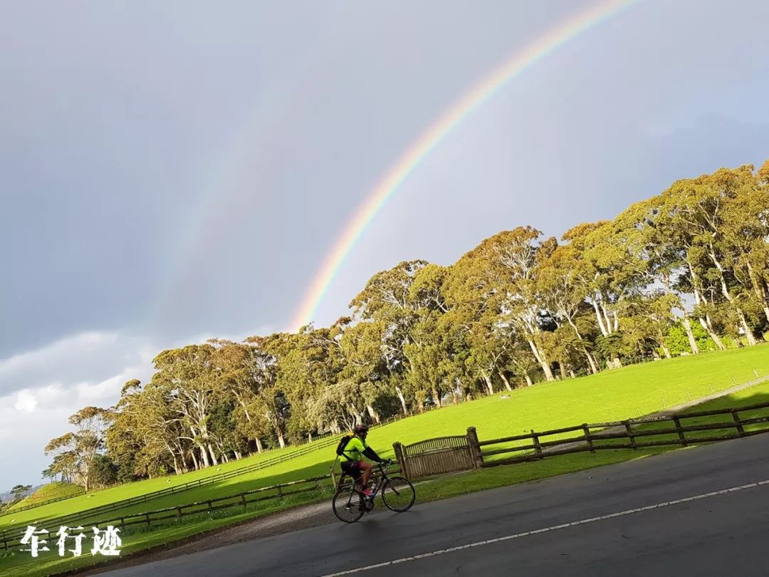 穿越新西兰北岛,新西兰北岛的真实生活最新