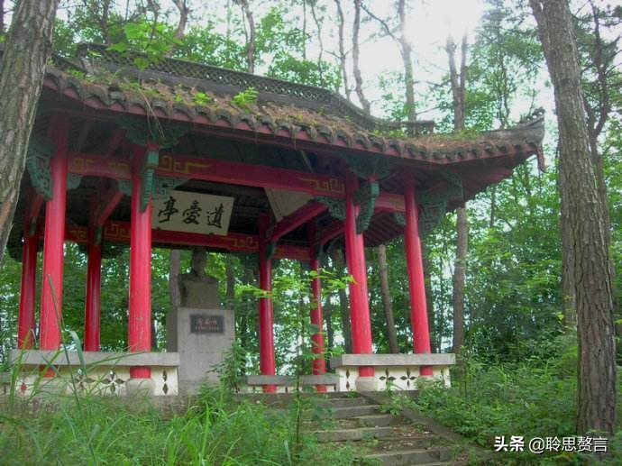 读苏东坡传写读书笔记,读诵苏东坡诗词