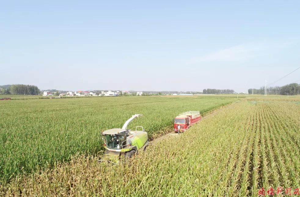 来赴一场雪乡长白山之约,来赴一场冬日的黄金之约