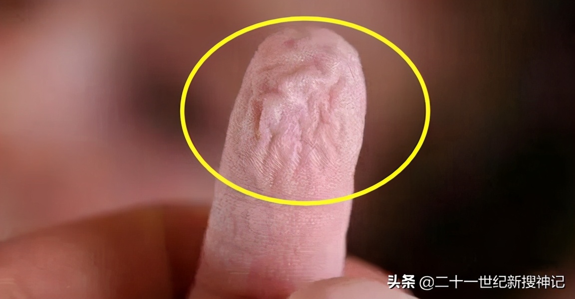 性命之谜（廿三）指尖上的世界，了解身边物质千变万化的微结构