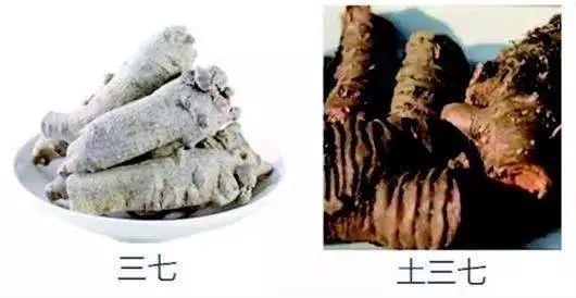 三七是金不换吗,三七粉没有病的人能吃吗