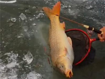 告诉你一个秘密化解身边小人,防止小鱼的十大绝招