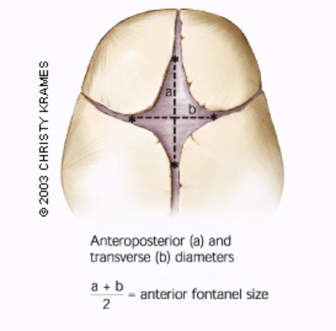 宝宝囟门闭合晚囟门大,补钙太多会导致囟门提前闭合