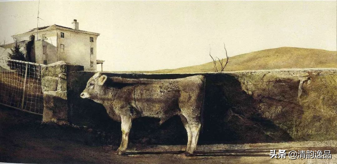 类似安德鲁怀斯的画家,安德鲁怀斯画家视频