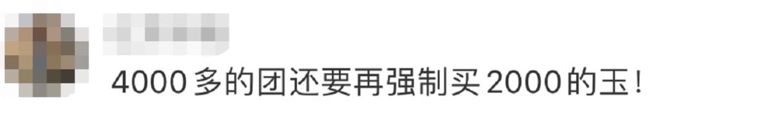 旅游团被导游买玉被骗,导游强迫买玉10000块