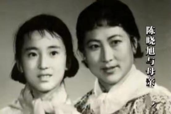 陈晓旭的一生经历,陈晓旭的一生解读