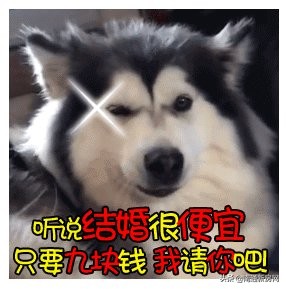 张家港好还是南通好,南通和张家港哪个更好