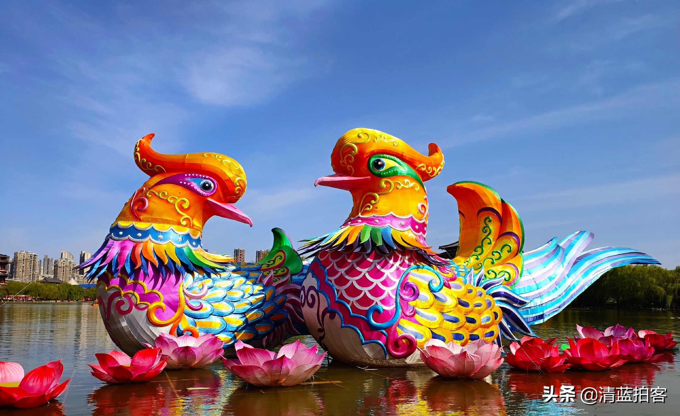 西安大唐芙蓉园免费吗,大唐芙蓉园免费政策