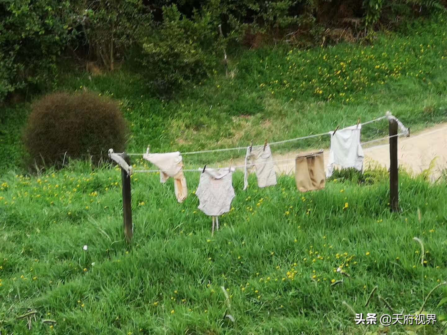 新西兰风光指环王拍摄,新西兰指环王电影摄影地