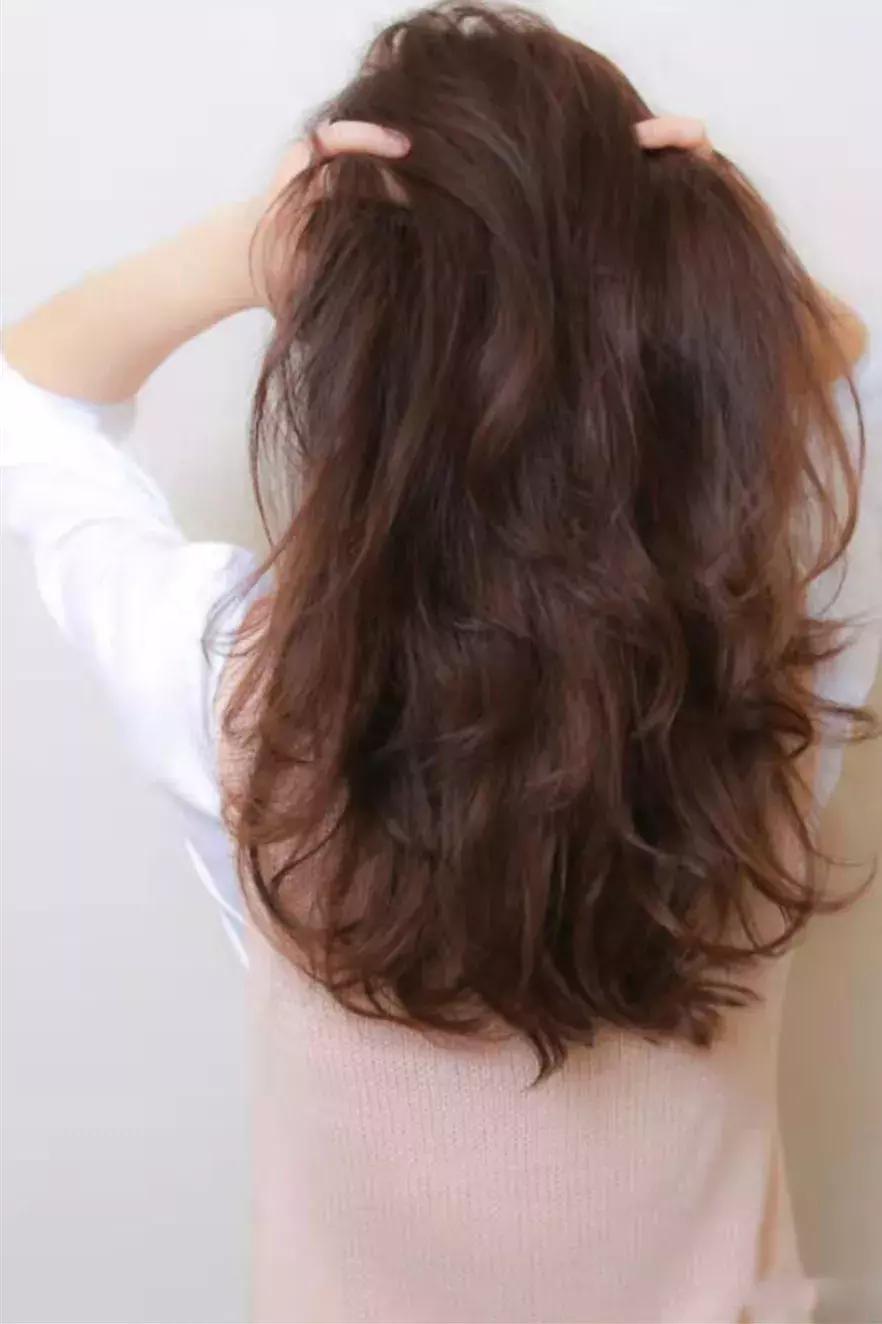 1.9折活动,1.9包邮5折优惠券在线抢