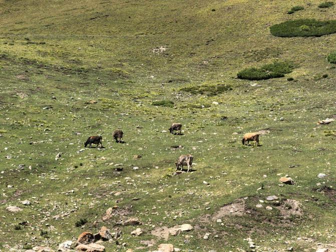 一家四口暑假日常之去游乐场,四川亲子游5日游8月游记