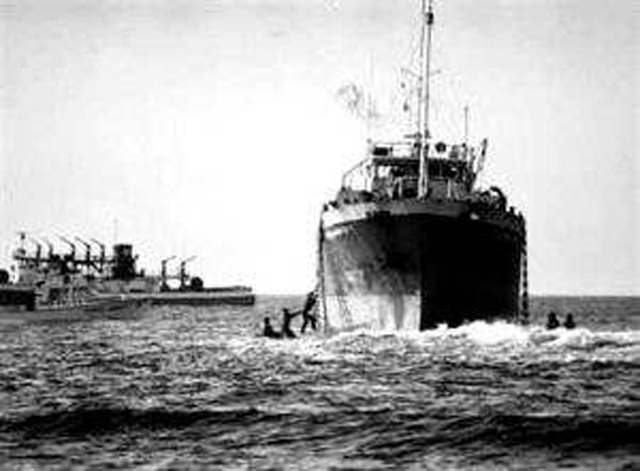 偷渡皇后的下场,偷渡皇后电视剧