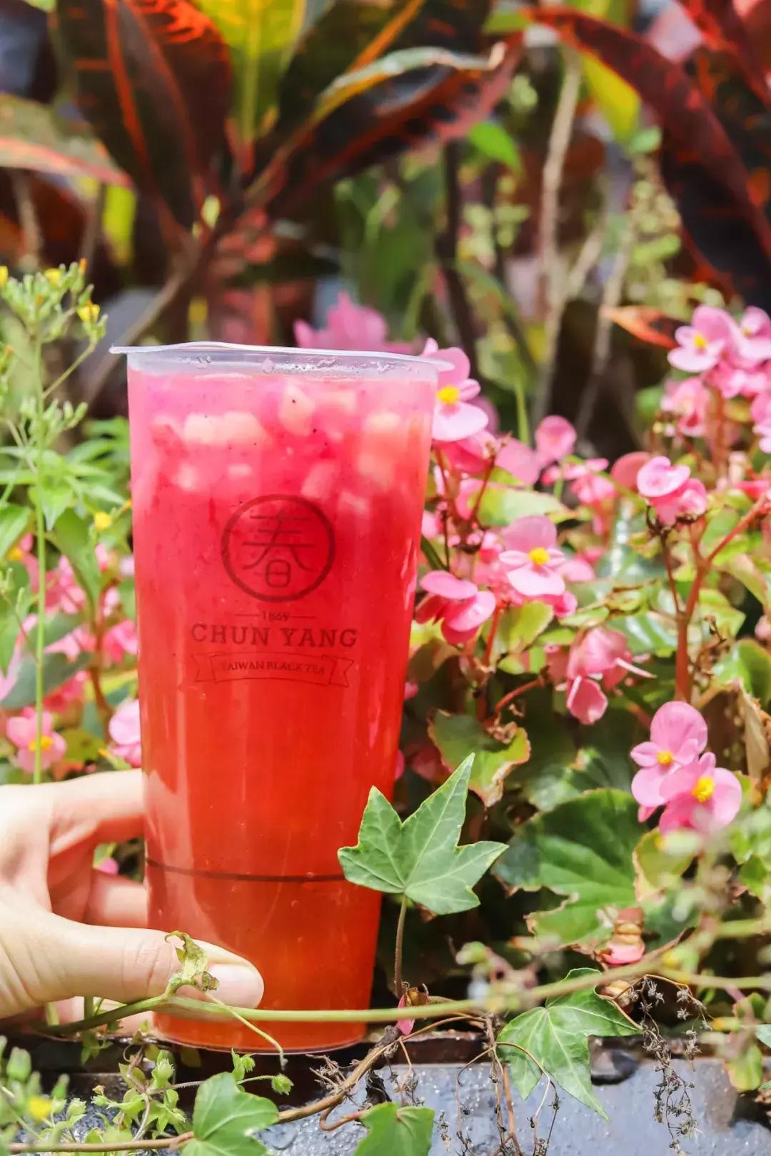 厦门茶饮打卡地点有哪些,厦门必去饮品店