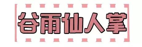 十大公认好用的水乳秋冬,秋冬怎样选水乳