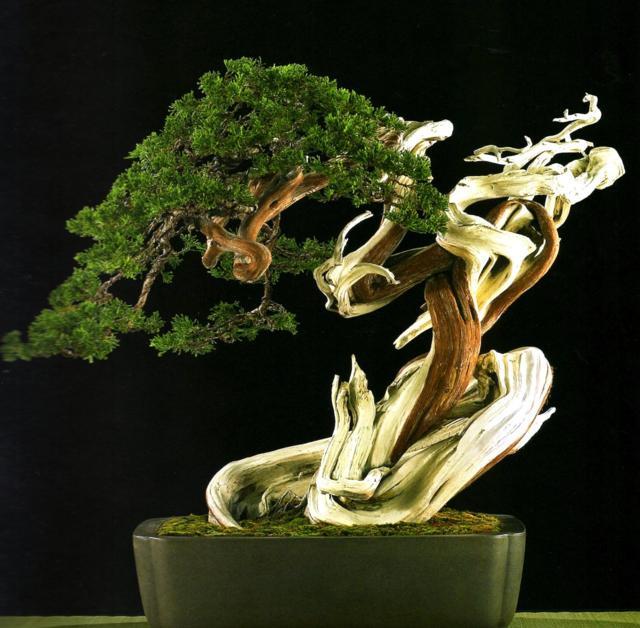 月入2万的10个小生意项目,月入2万的10个小生意怎么样