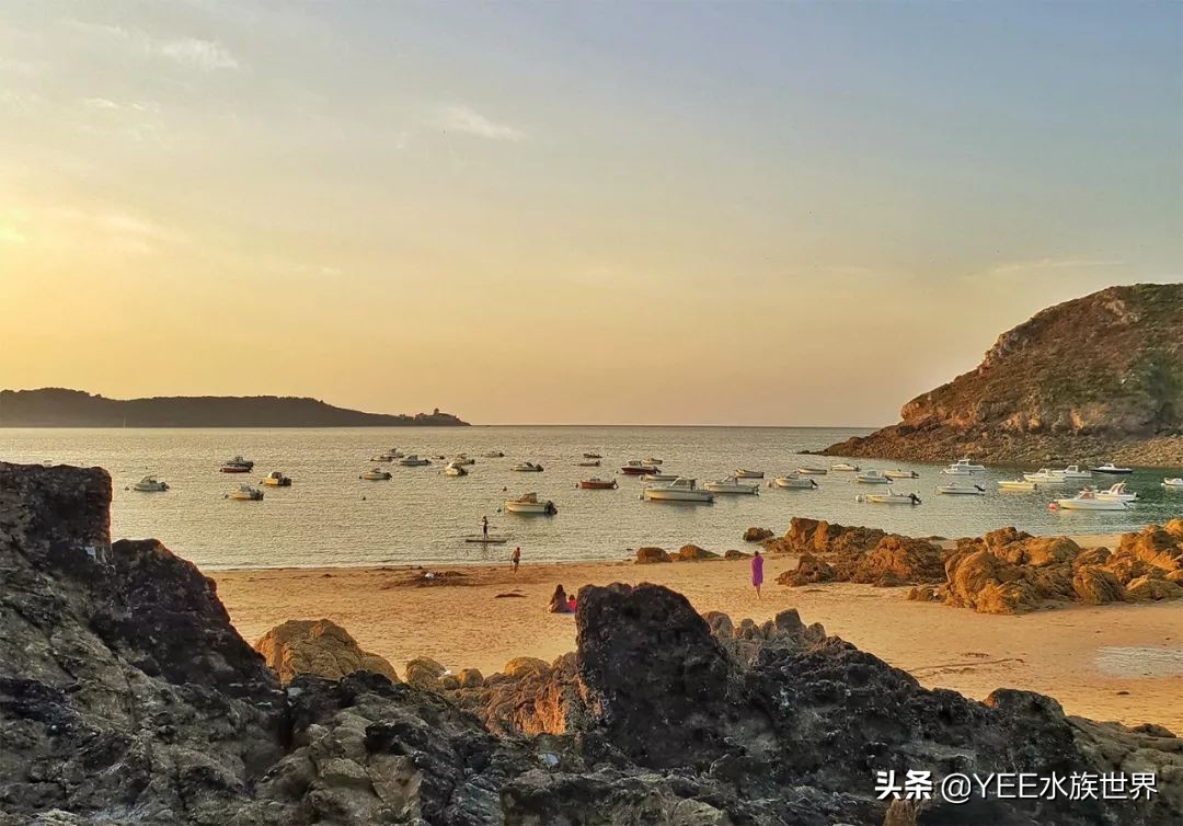 鱼鹰老人:可不可以,不要忘了我们