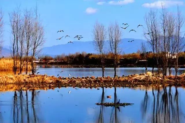 大理网红地方有哪些,云南大理网红景点洱海