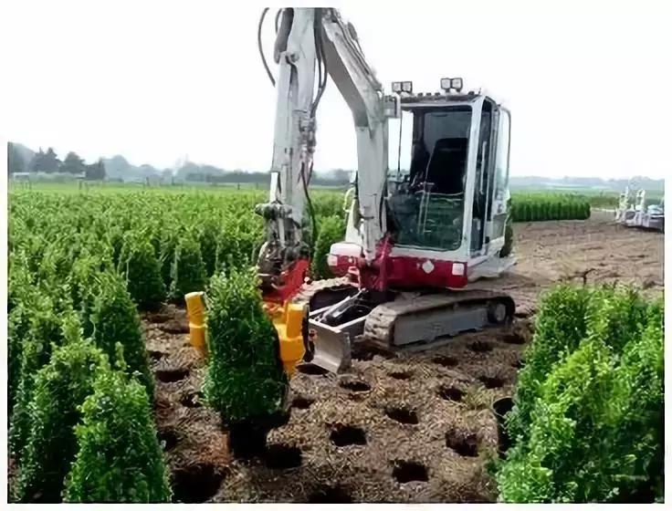 苗木人常识,苗木人最好的出路