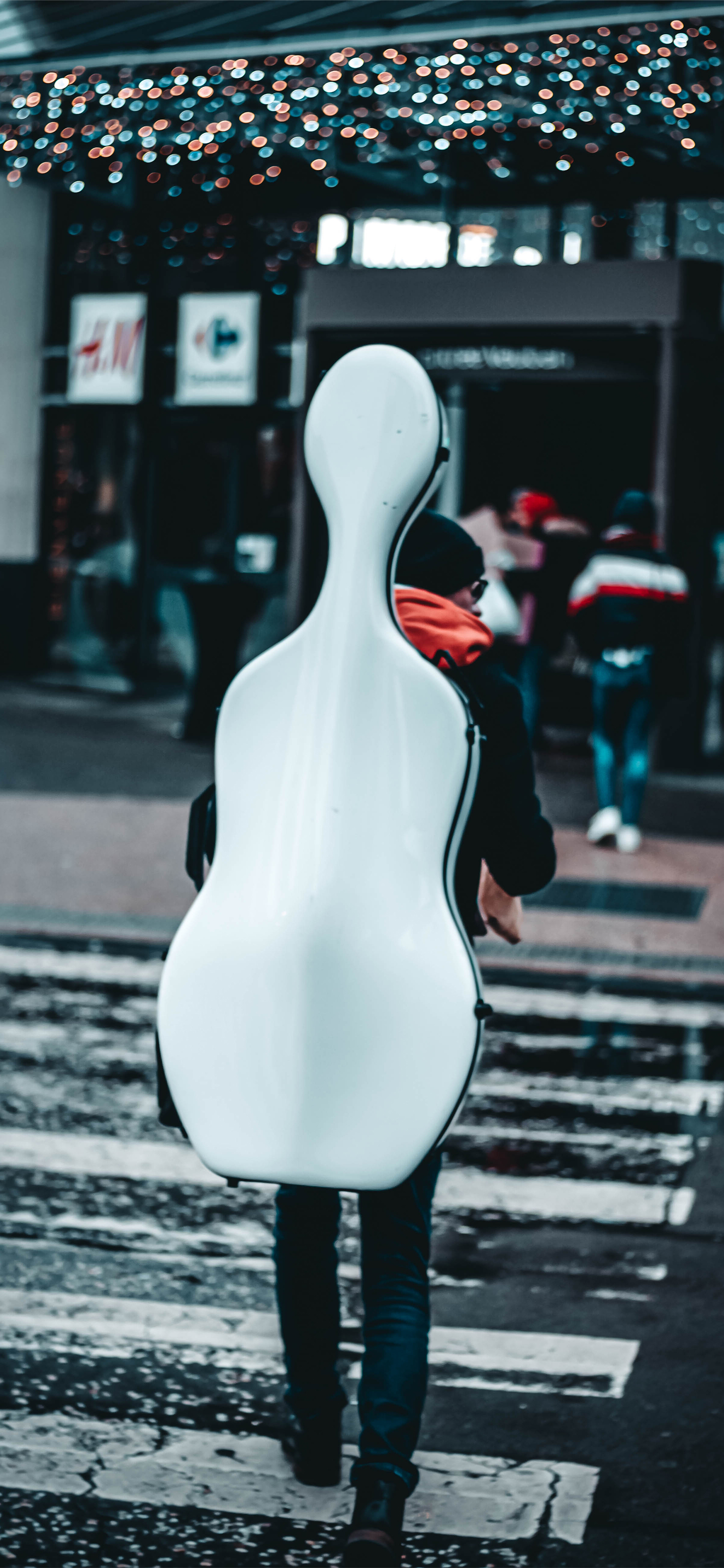 壁纸来了小说,壁纸来了梵高