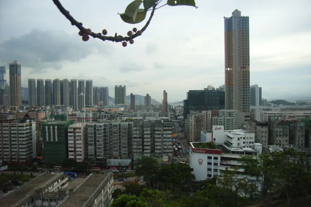 什么样的面包才敢以「生命面包」自居？这背后是段中国香港传奇