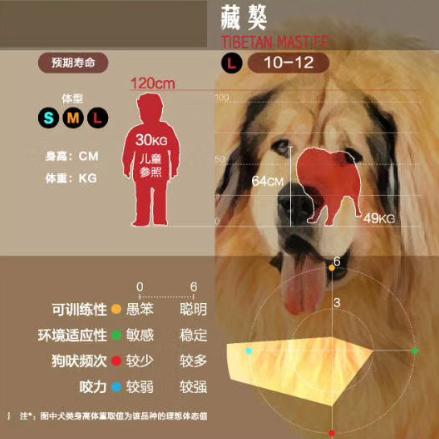 狗狗大讲堂,狗狗们上课去学校