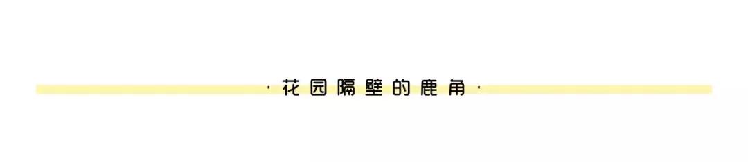 苏明玉穿搭价钱,苏明玉穿搭白色衬衣搭配外套