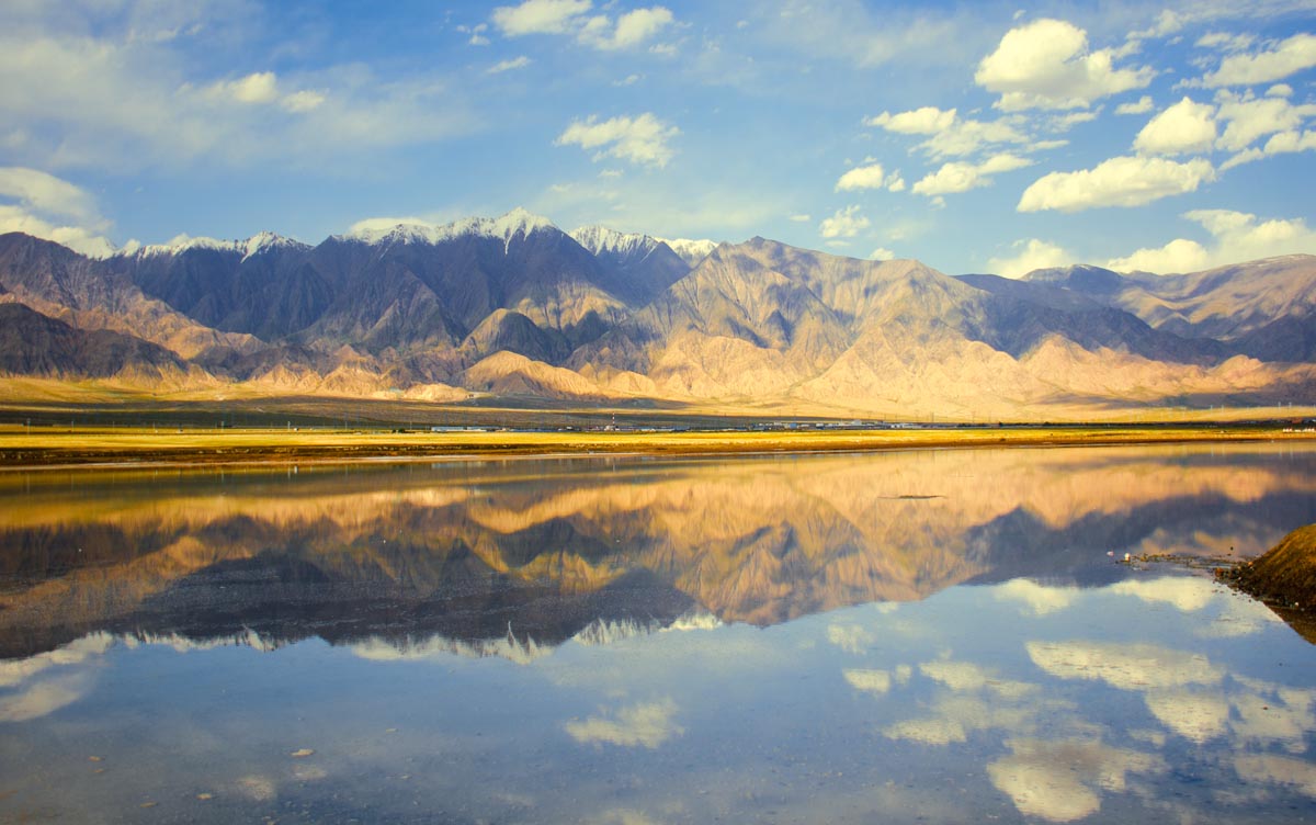 我的旅行日记之青海,我的旅行日记高原茶场