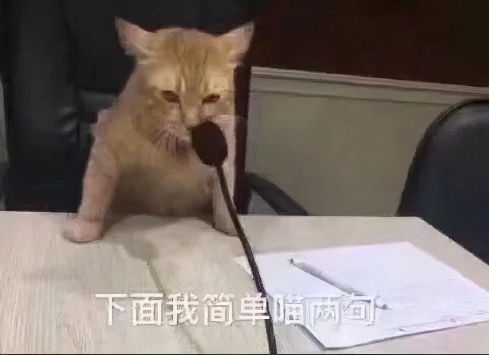 广西过期食品,过期食物对人体伤害