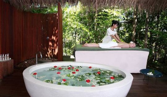 精油真的有那么大效果吗,各类精油的功效与用法