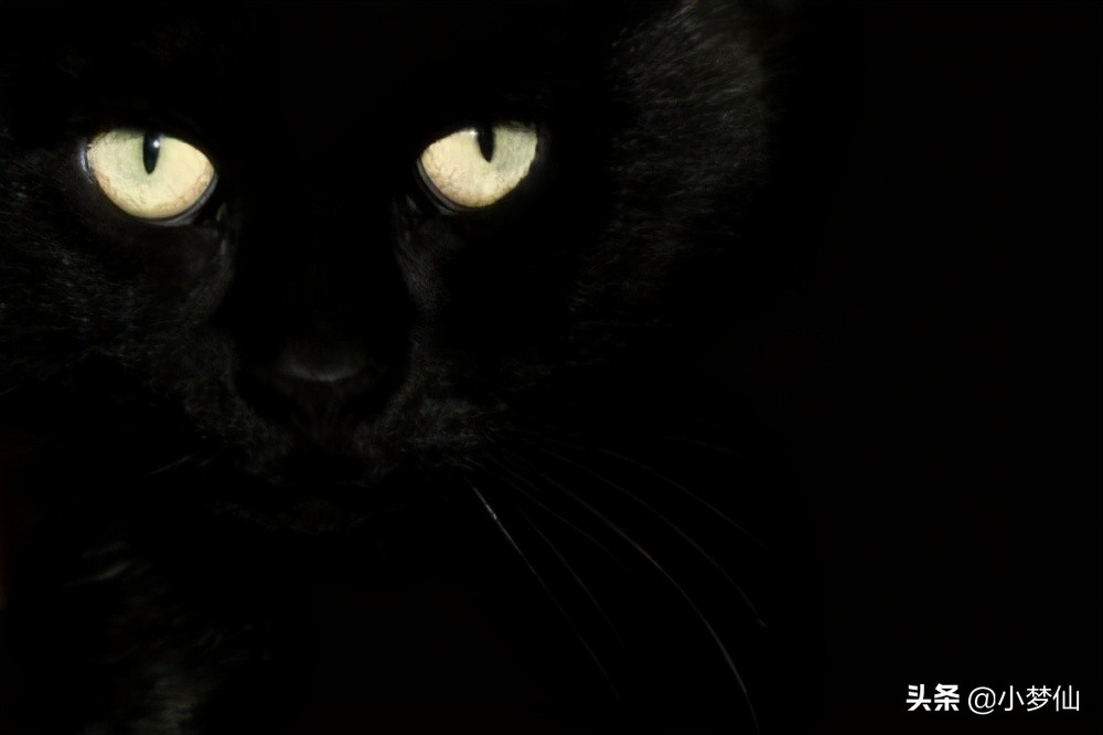 古代害人奇案,清朝奇案之连环腐败案