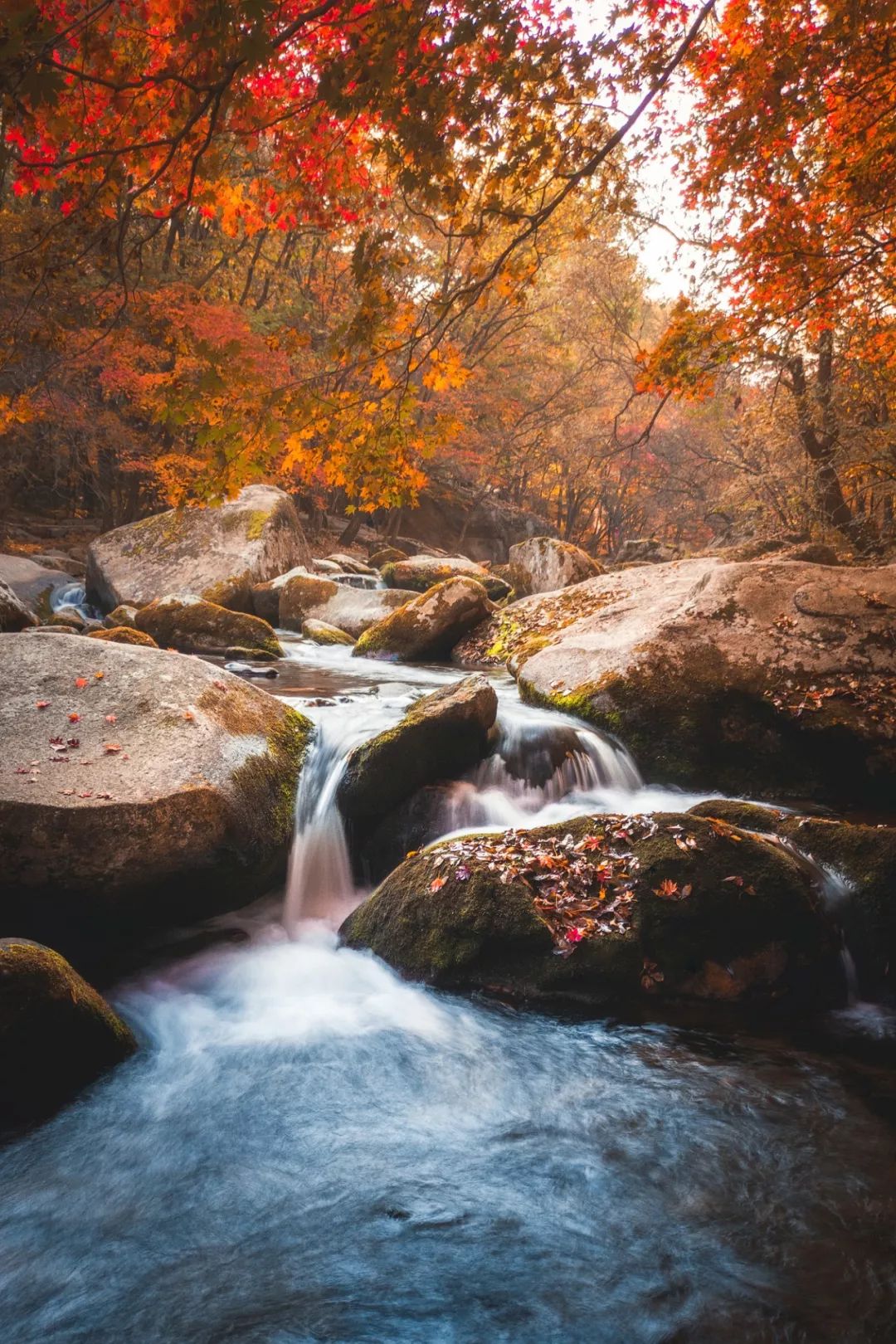 谁是东北第一城,谁才是东北第一城市