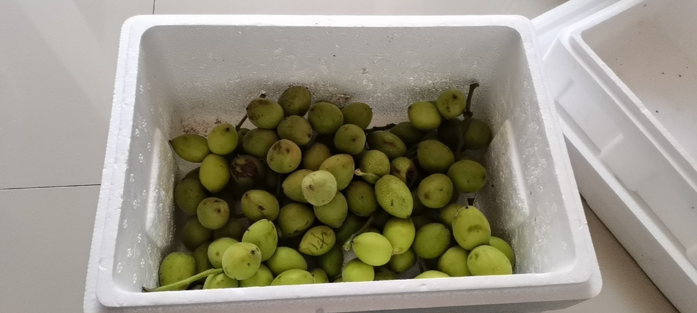 原创山核桃,小小的山核桃怎么吃