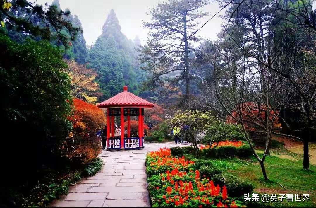 庐山三如琴湖,不识庐山真面目