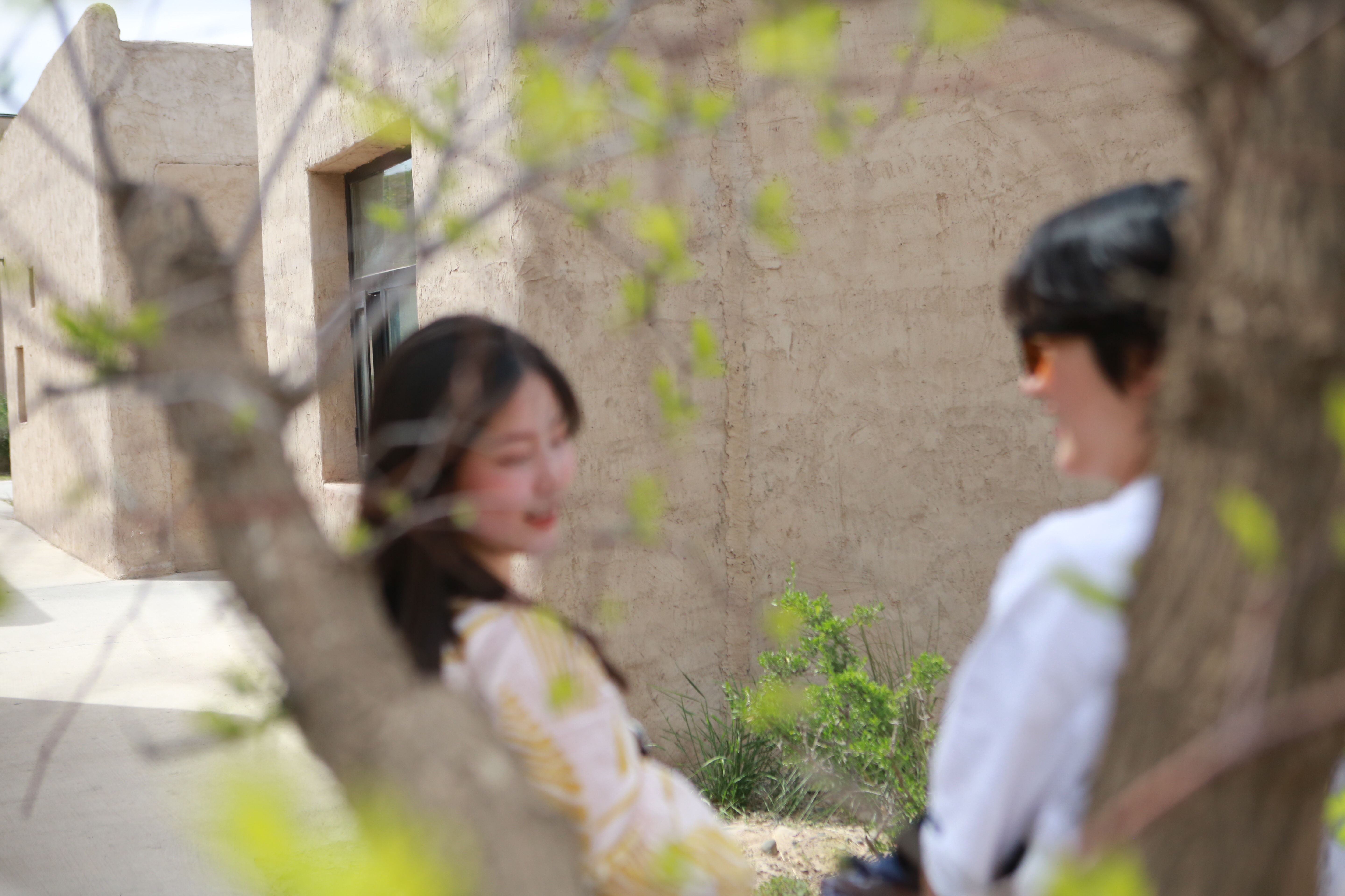 黄河中卫民宿,中卫民宿排行榜前十名