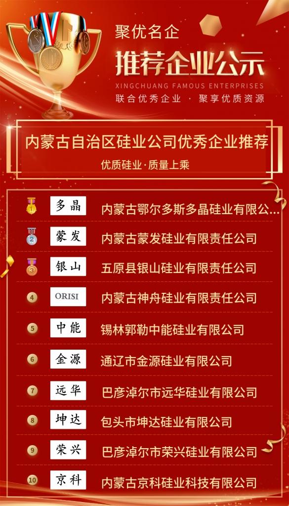 内蒙古工业硅企业有哪些,内蒙古光伏企业十大排名