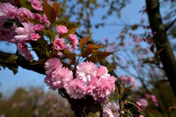 重庆旅游团报名价目表三日游,重庆周边三日自驾游最佳路线