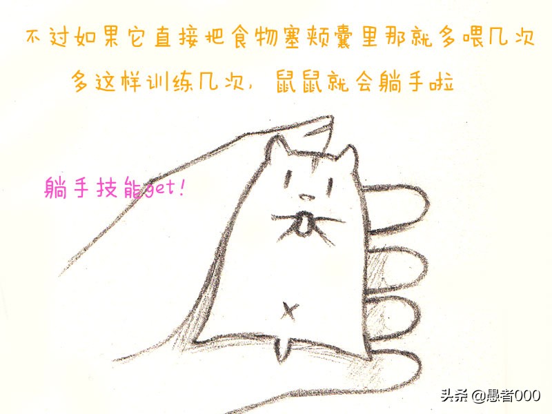 画可爱的仓鼠漫画,可爱的小仓鼠简单的漫画