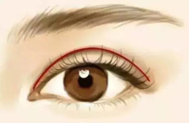 从丑小鸭到白天鹅的经历了什么,从丑小鸭到白天鹅蜕变