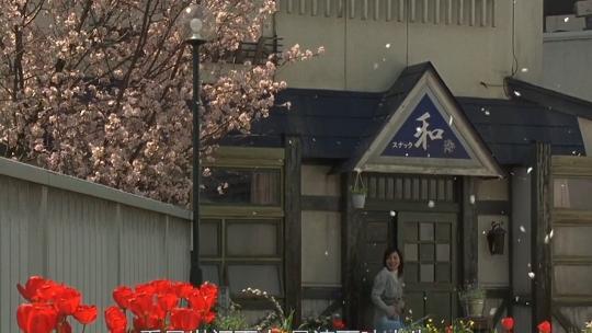 豆瓣8.7分日本,豆瓣8.0分以上的电影