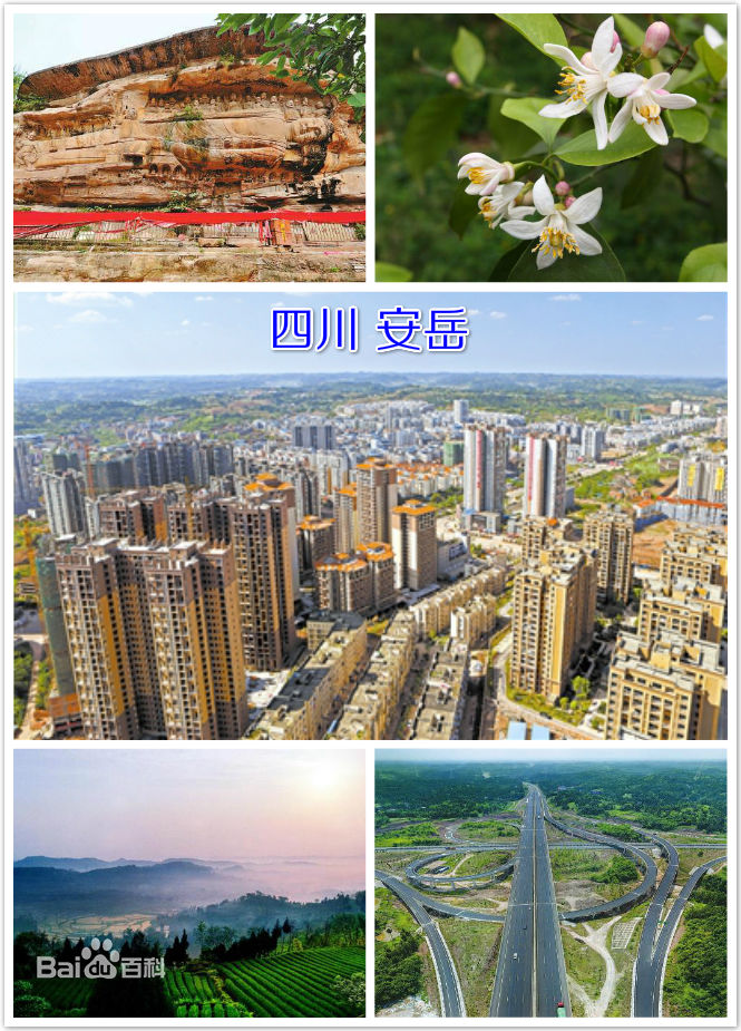 成都东进和资阳,成都市未来发展规划建言献策