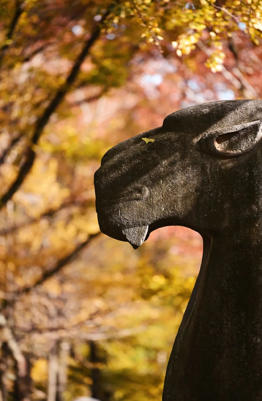 长春出发特价机票四月,长春出发双人旅游套餐含机票团购