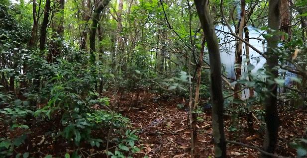 成为特种兵必须经过什么,想成为特种兵要学习哪些动作