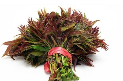 适合春天二三月种的植物或蔬菜,春天这七种蔬菜养肝好吃又便宜